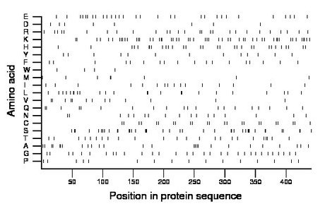 amino acid map