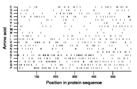 amino acid map