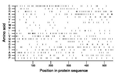 amino acid map