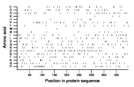 amino acid map