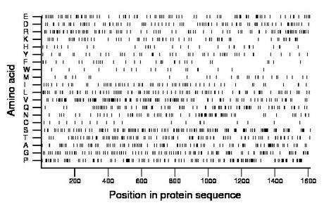 amino acid map