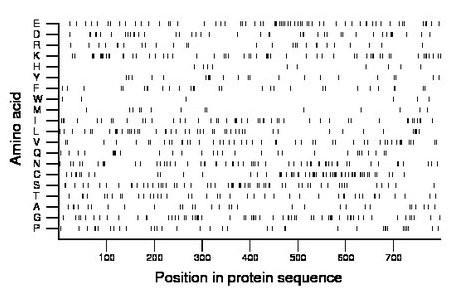 amino acid map