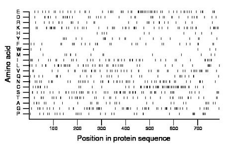 amino acid map