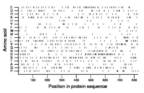 amino acid map