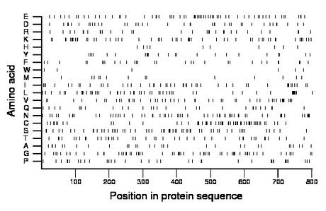 amino acid map