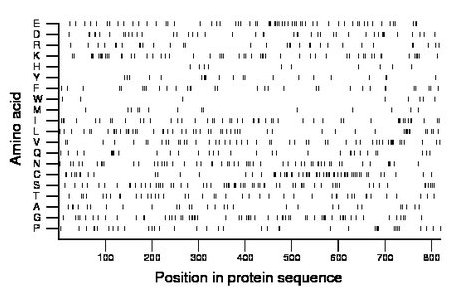 amino acid map