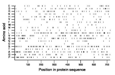 amino acid map