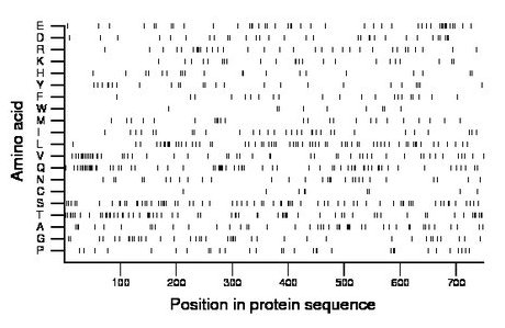 amino acid map