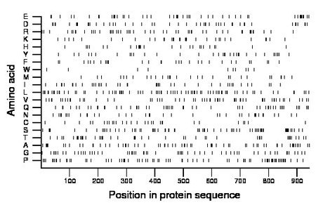 amino acid map