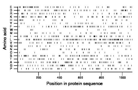 amino acid map