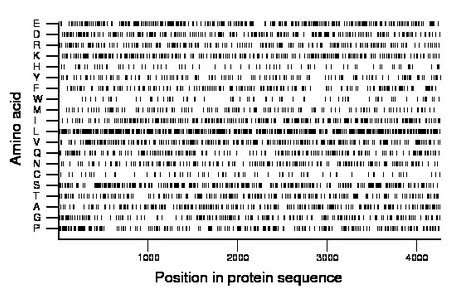 amino acid map