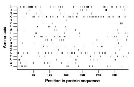 amino acid map