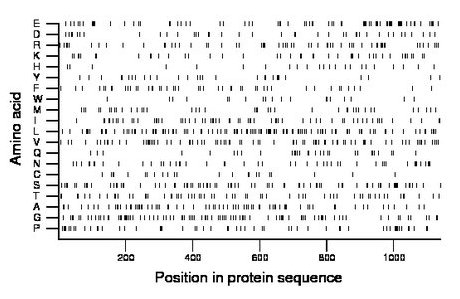 amino acid map