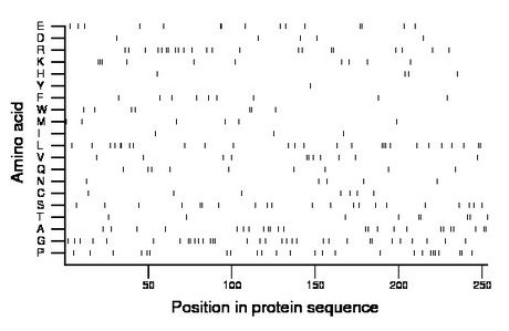 amino acid map