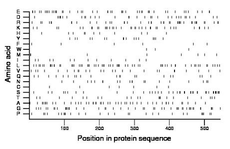 amino acid map