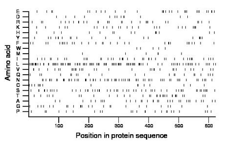 amino acid map