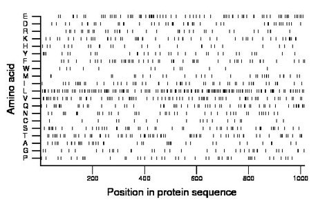 amino acid map