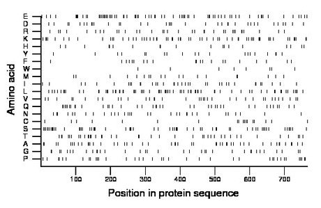 amino acid map