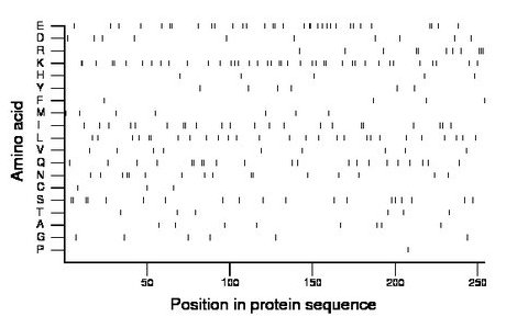 amino acid map