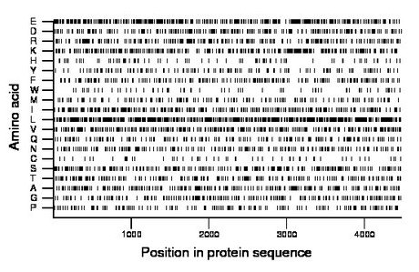 amino acid map