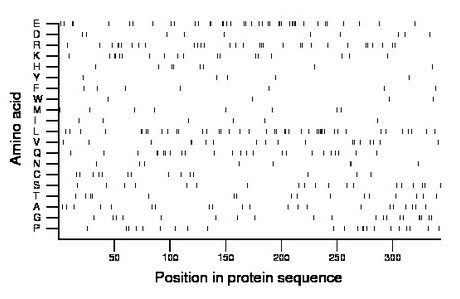 amino acid map