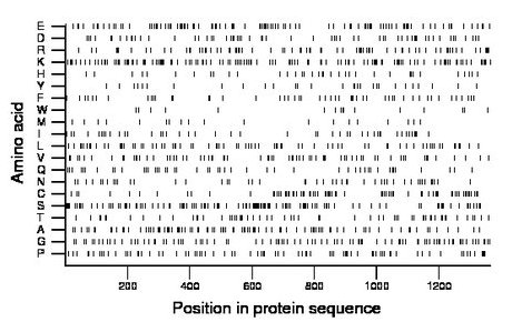 amino acid map