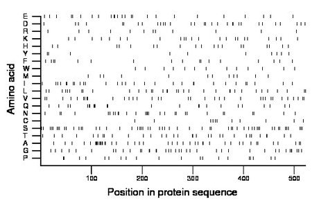 amino acid map