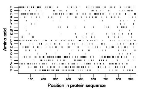 amino acid map