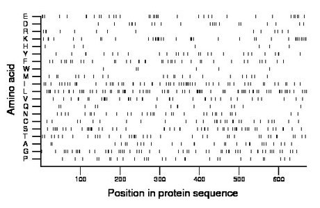 amino acid map