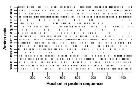 amino acid map