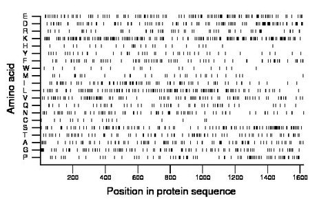 amino acid map