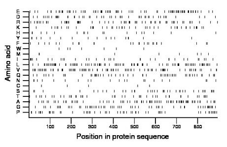 amino acid map