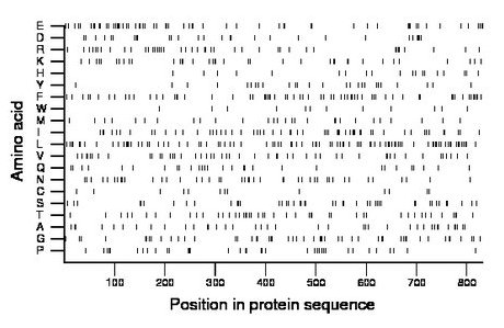 amino acid map