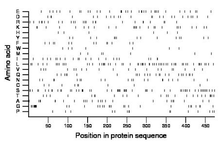 amino acid map