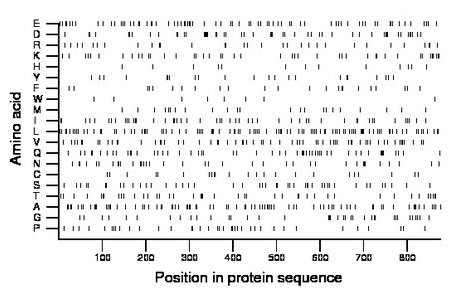 amino acid map