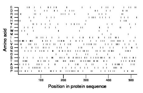 amino acid map