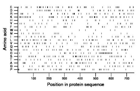 amino acid map