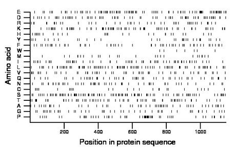 amino acid map