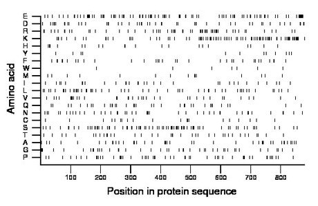 amino acid map