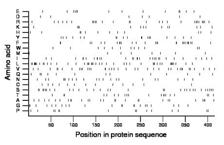 amino acid map