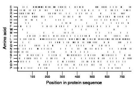 amino acid map