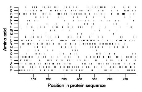 amino acid map