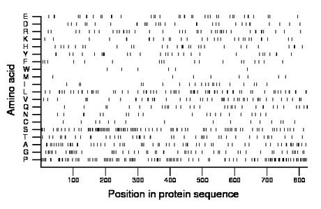 amino acid map