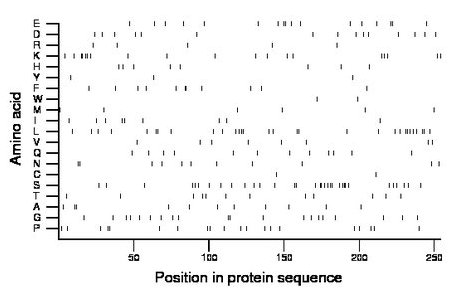 amino acid map