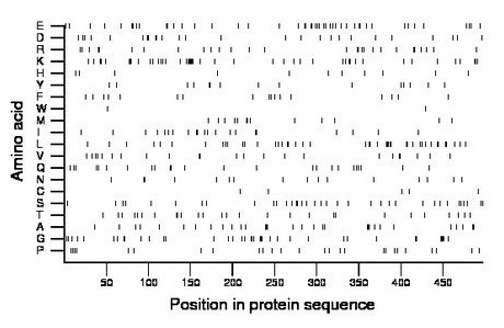 amino acid map