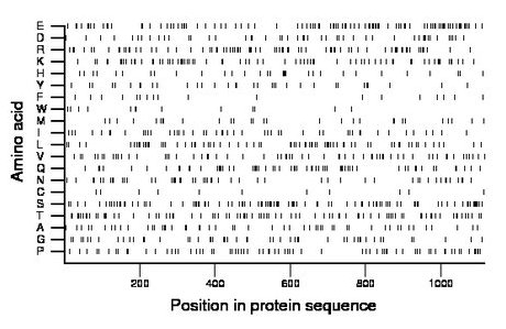 amino acid map