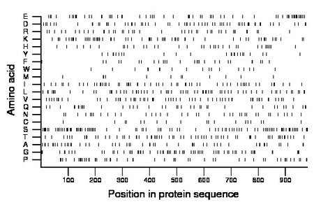 amino acid map