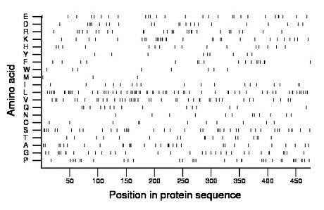 amino acid map