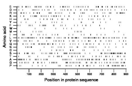 amino acid map