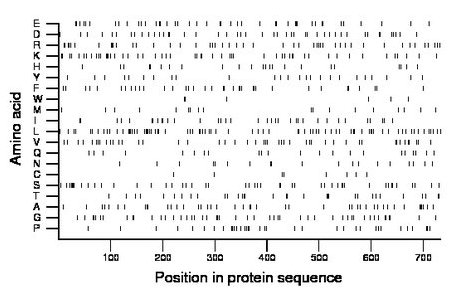 amino acid map